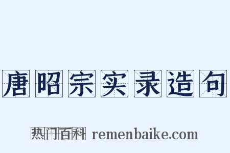 唐昭宗实录造句是什么意思的图片